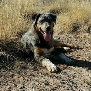 Meet your Posher, Lorena